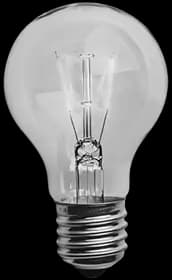Light Bulb